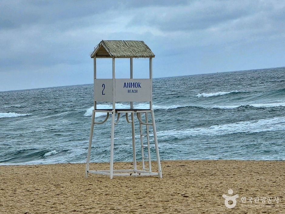 강릉_커피거리 (2)