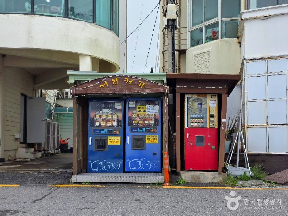 강릉_커피거리 (4)