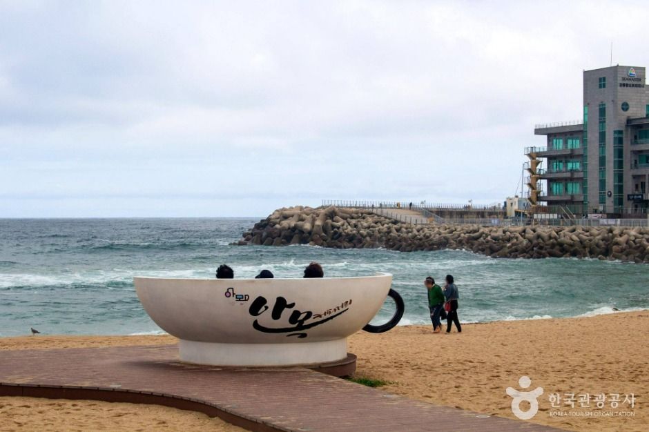 강릉_커피거리 (6)