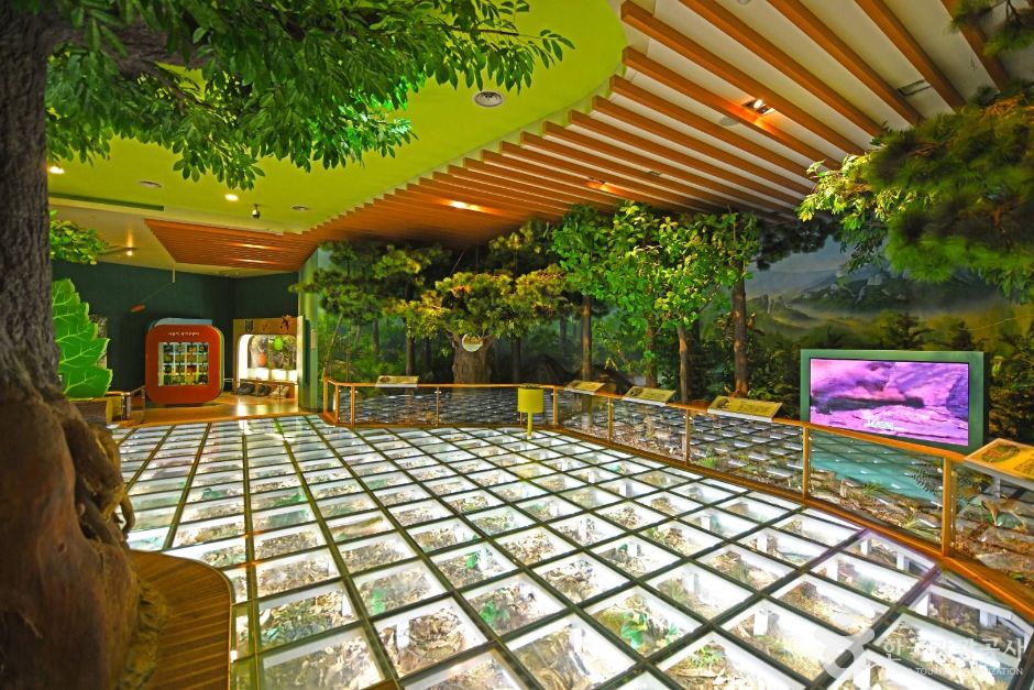 홍천_자연환경연구공원 (3)