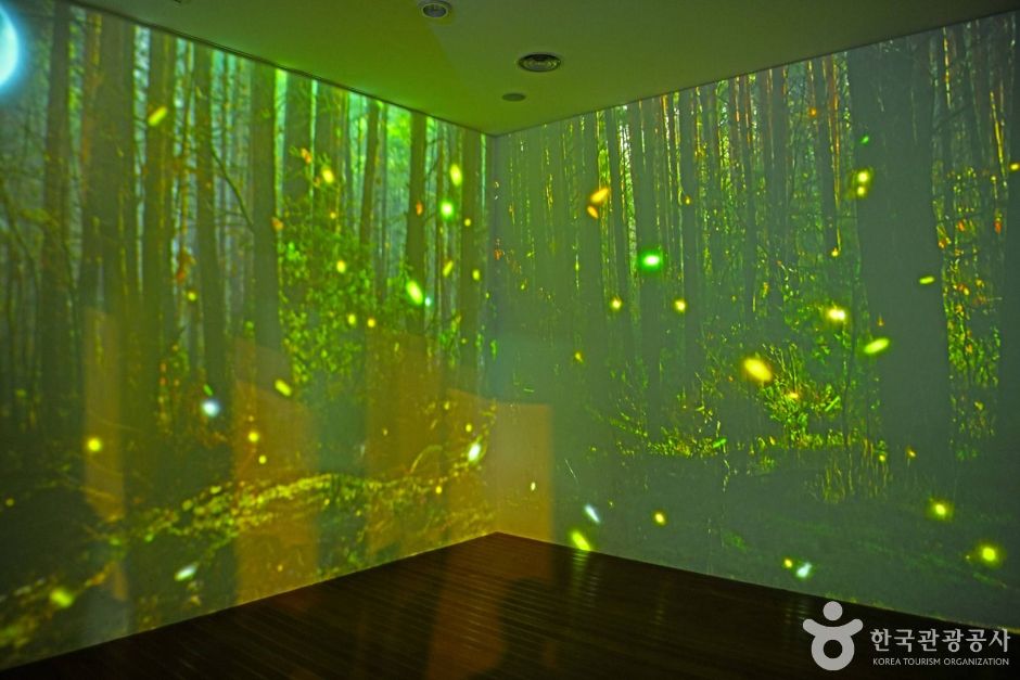 홍천_자연환경연구공원 (4)