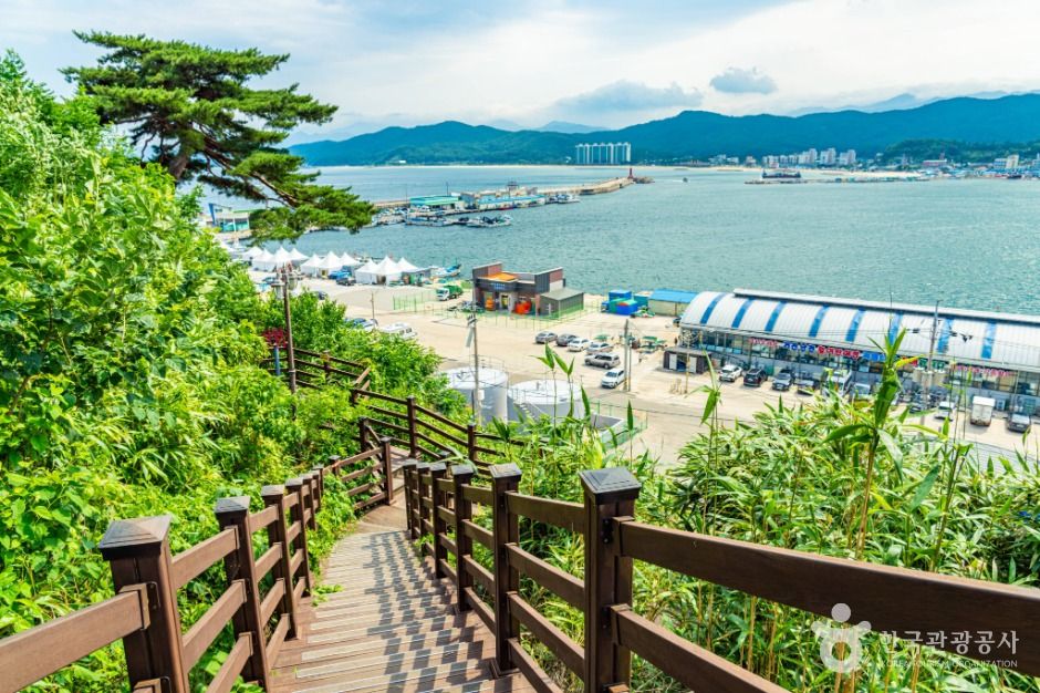 강원고성_거진등대해맞이공원 (1)