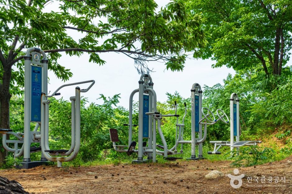 강원고성_거진등대해맞이공원 (5)