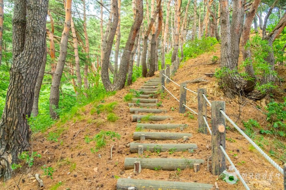 강원고성_거진등대해맞이공원 (8)