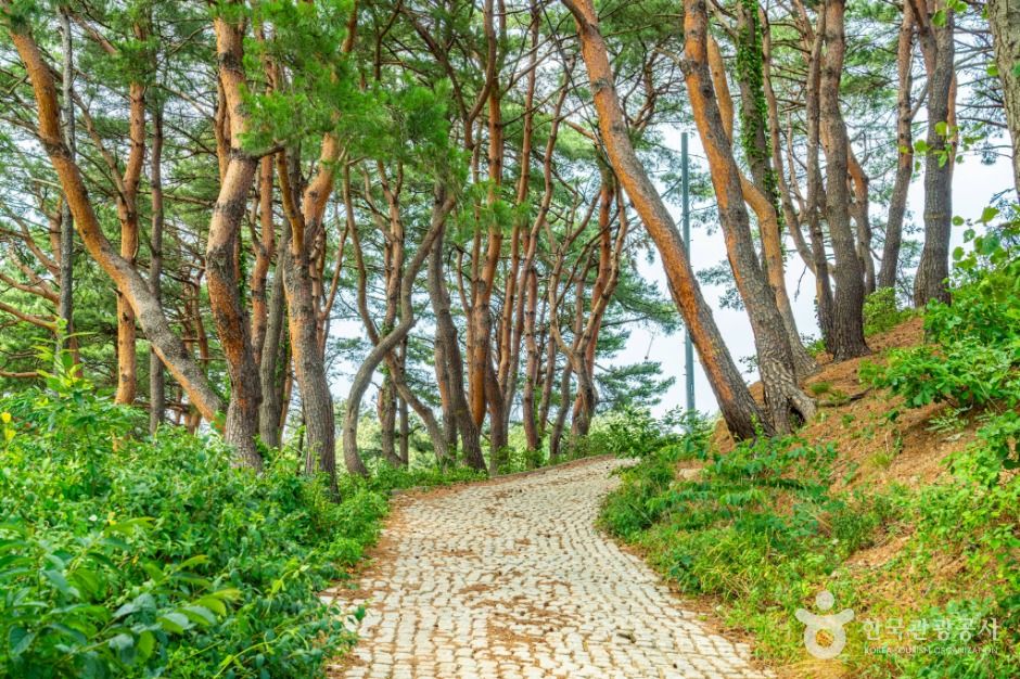 강원고성_거진등대해맞이공원 (11)