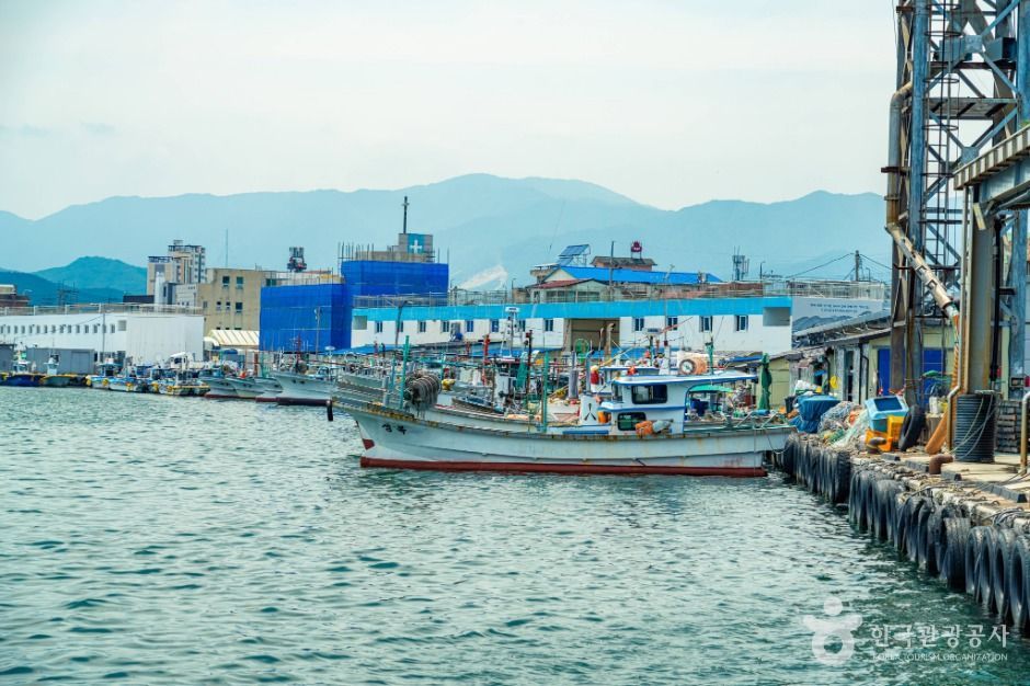 강원고성_거진항 (9)