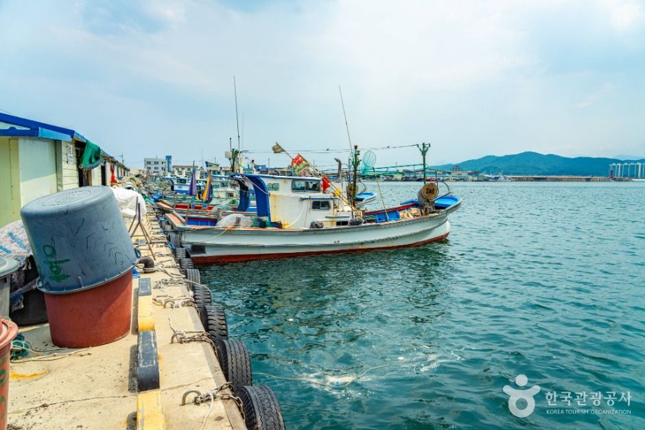 강원고성_거진항 (10)
