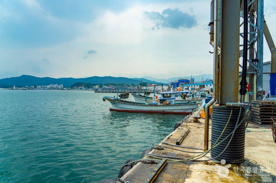 강원고성_거진항 (3)