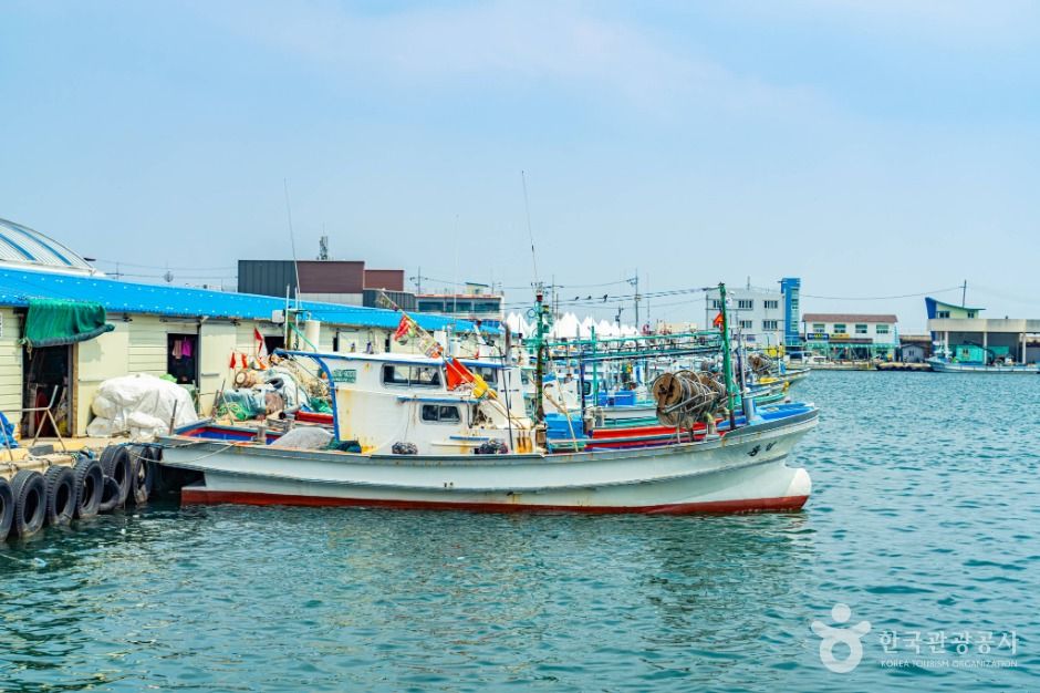 강원고성_거진항 (4)