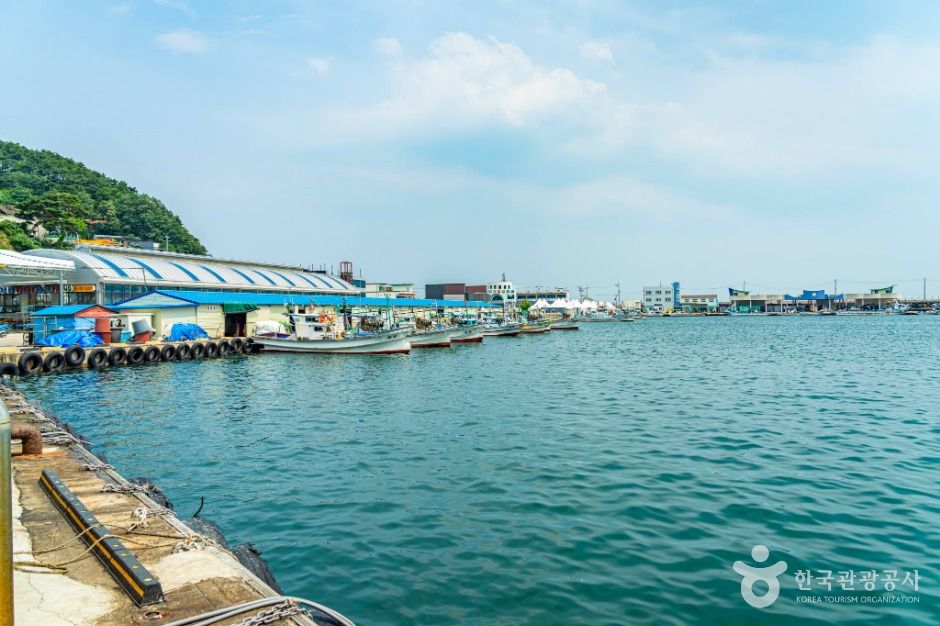 강원고성_거진항 (2)