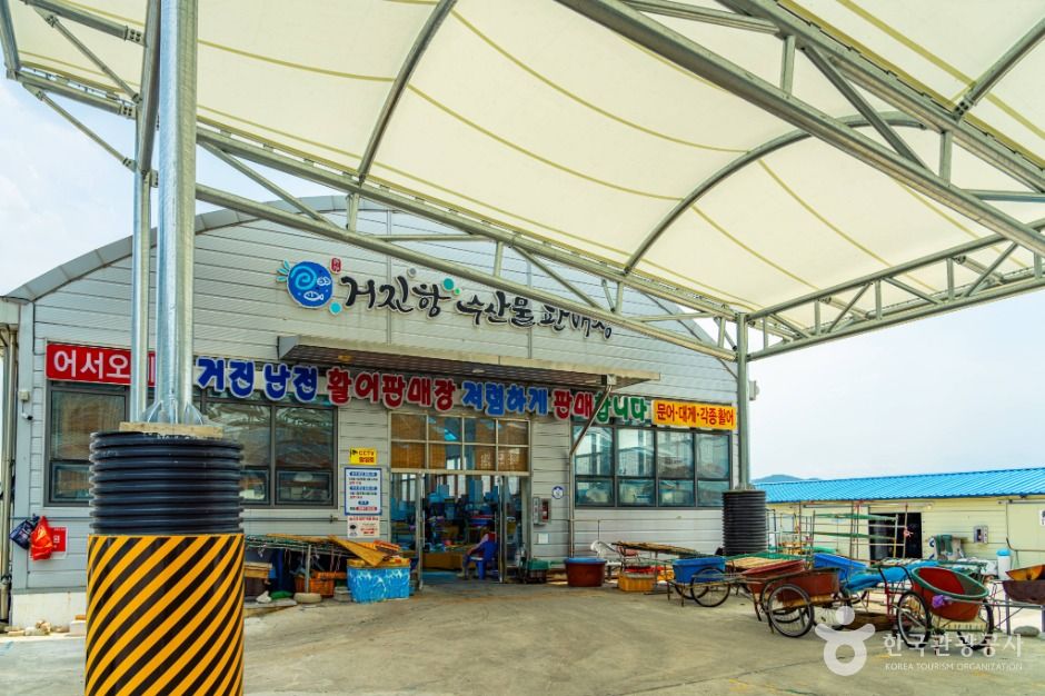 강원고성_거진항 (5)