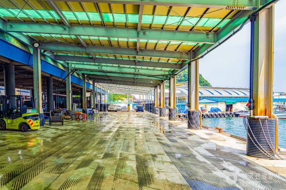 강원고성_거진항 (8)