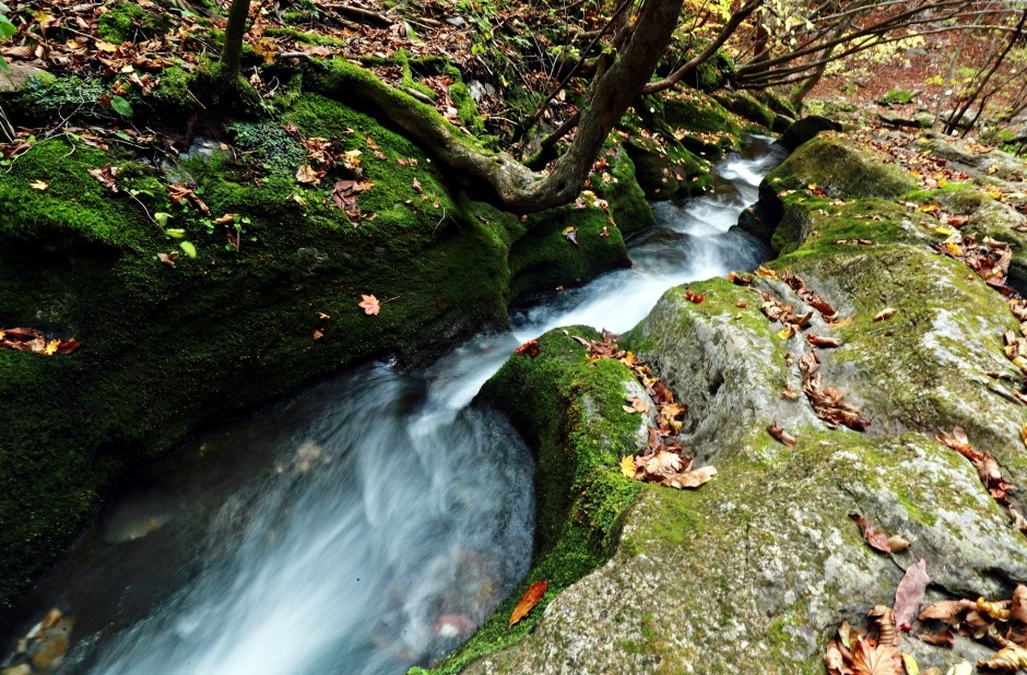 검룡소_3_국가지질공원