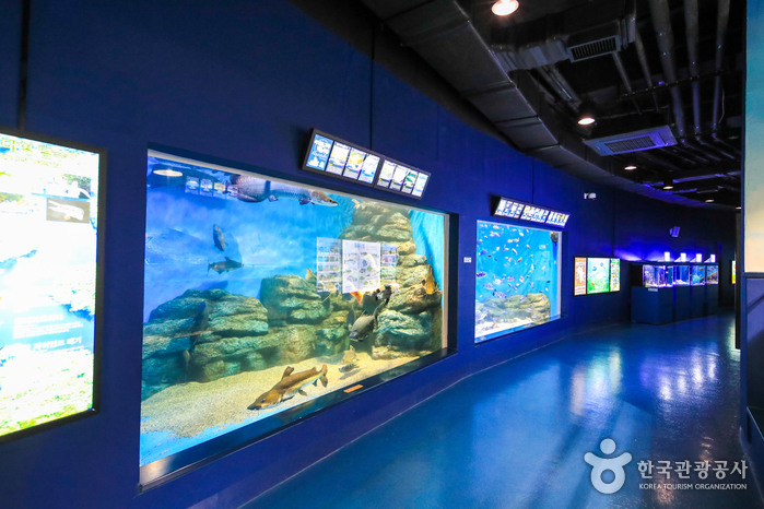 경포 아쿠아리움