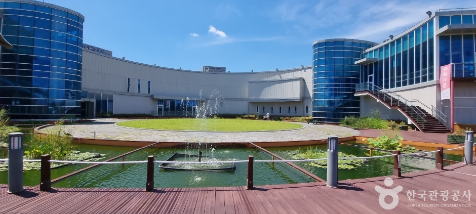 경포 아쿠아리움_4