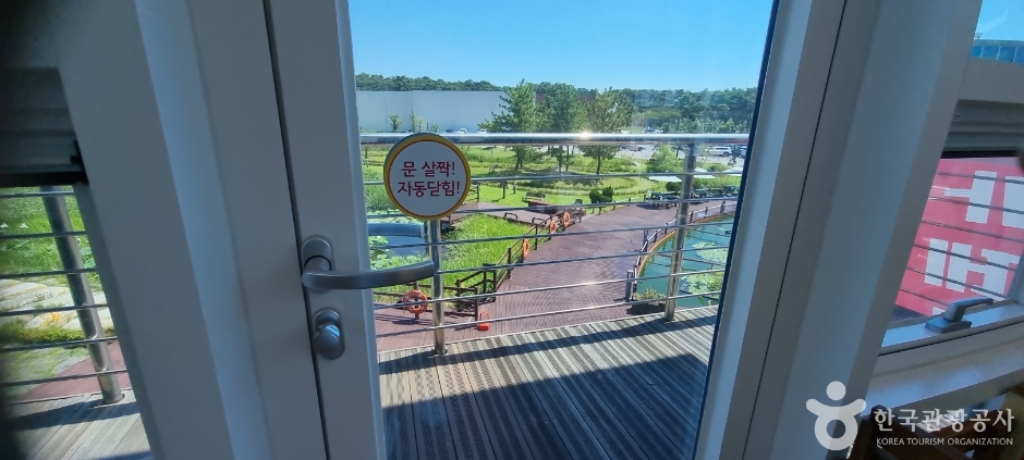 경포 아쿠아리움_10