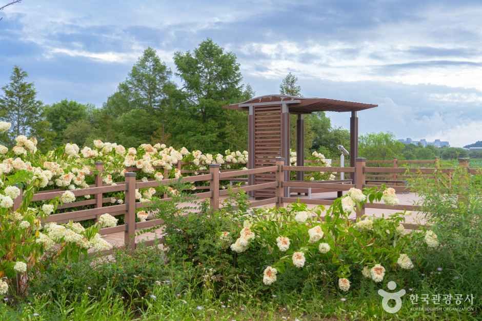 경포가시연습지