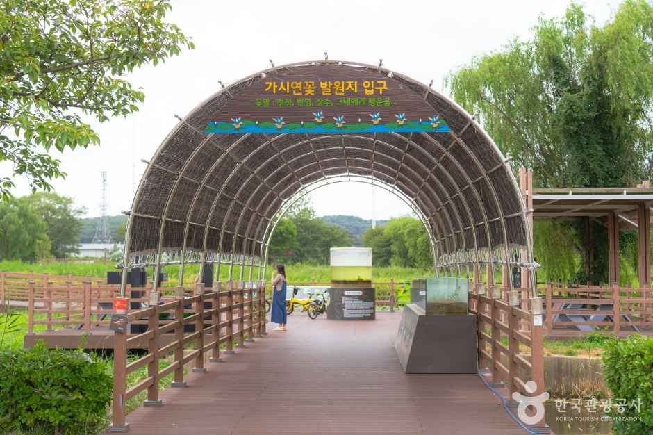 경포가시연습지