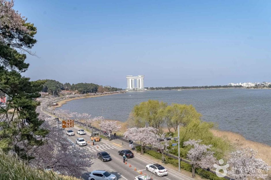 경포도립공원 (4)