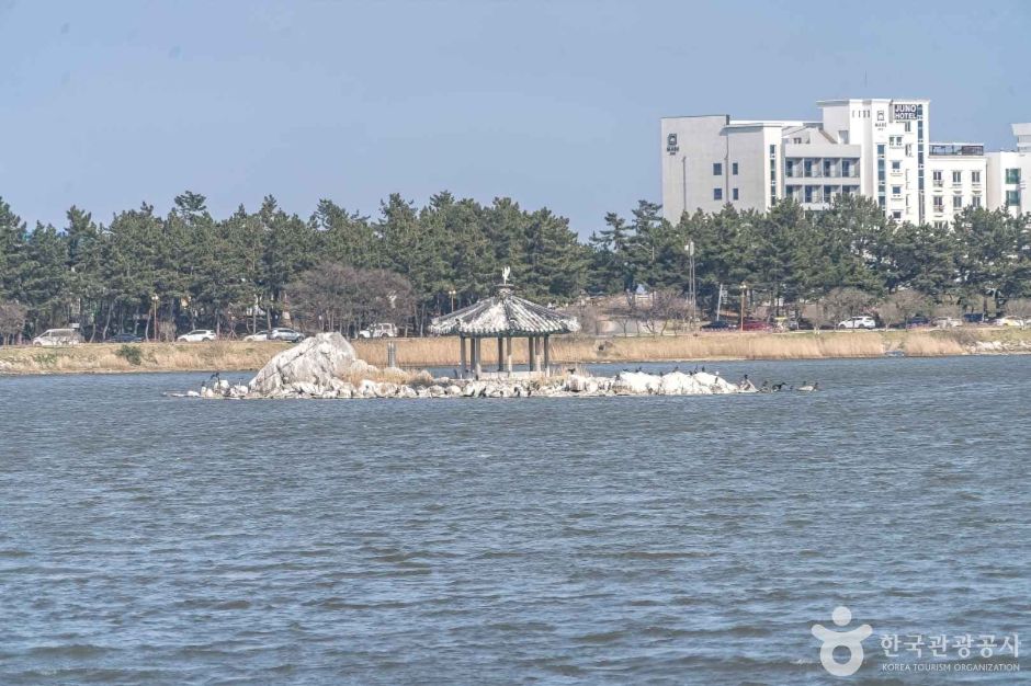 경포도립공원 (5)