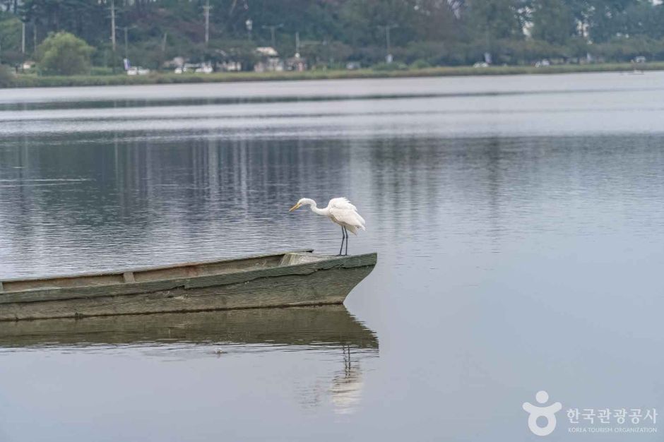 경포도립공원 (12)