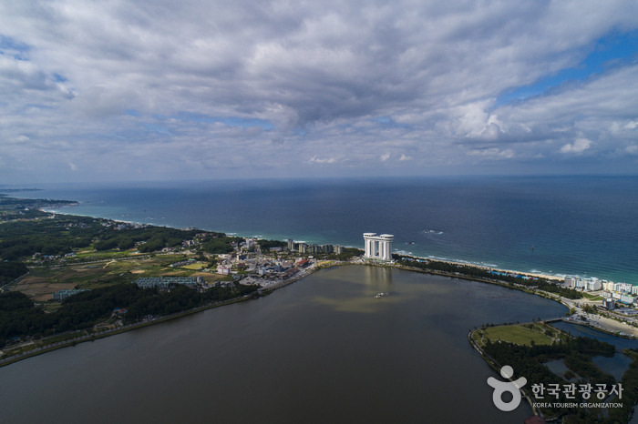 경포호(철새도래지)_02