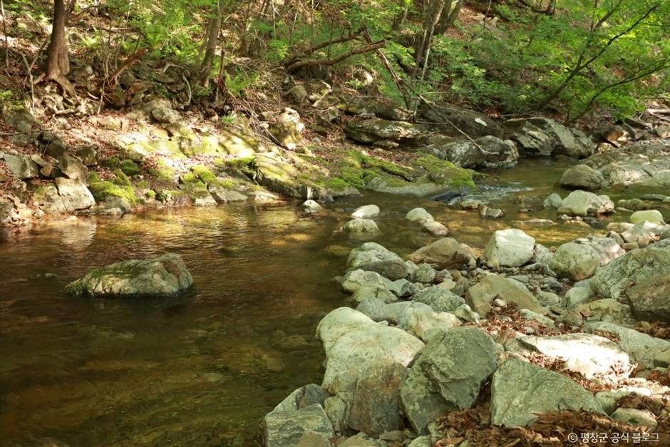 평창_계방산(평창) (1)
