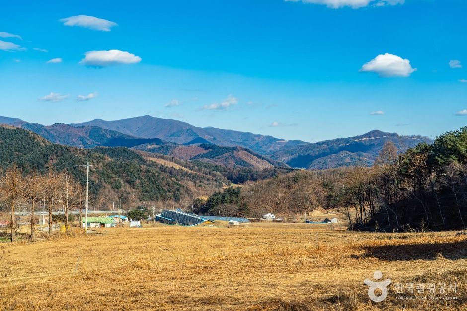 평창_고랭길 (5)