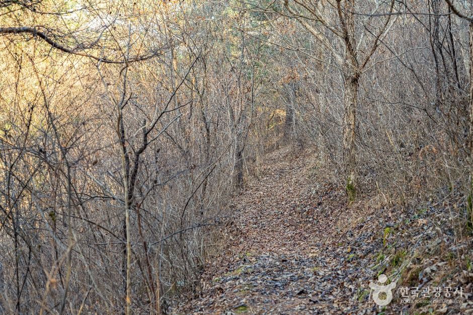 평창_고랭길 (6)