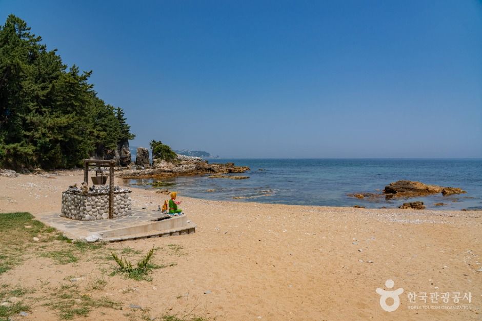 동해_고불개해변 (2)