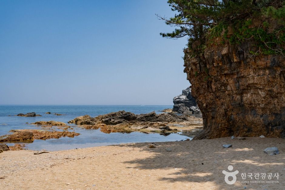 동해_고불개해변 (3)