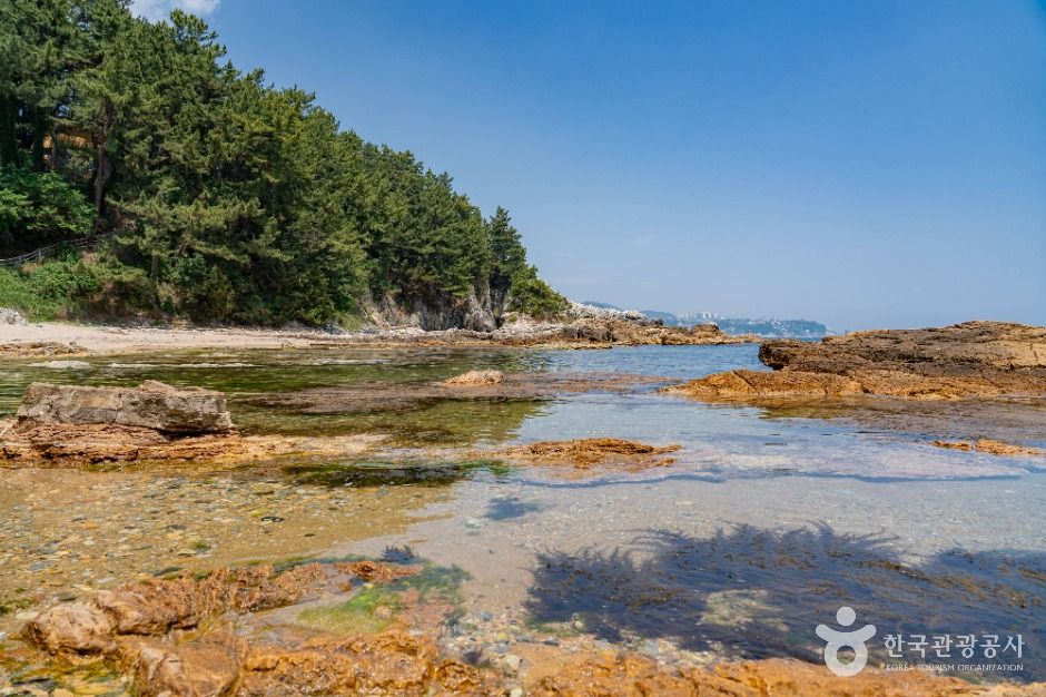 동해_고불개해변 (5)