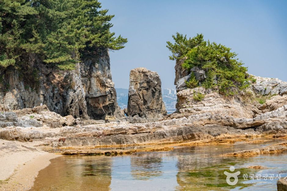 동해_고불개해변 (6)