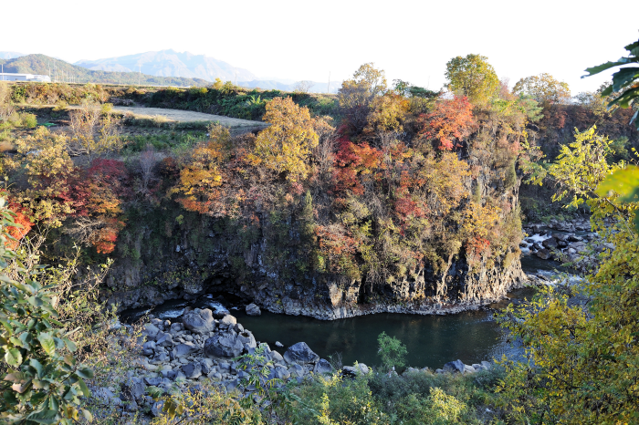 대교천 현무암 협곡 (한탄강 유네스코 세계지질공원)