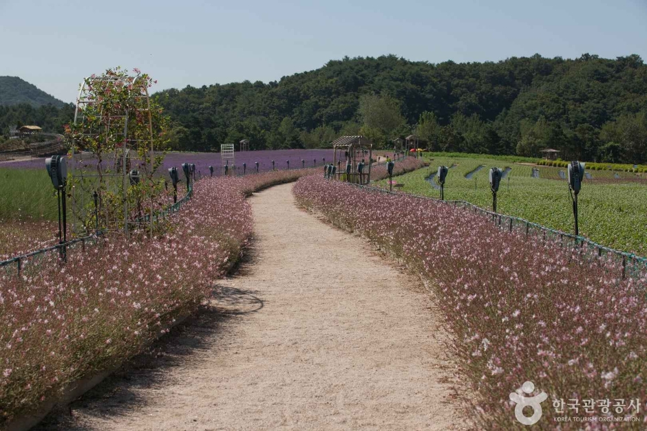 고석정국민관광지