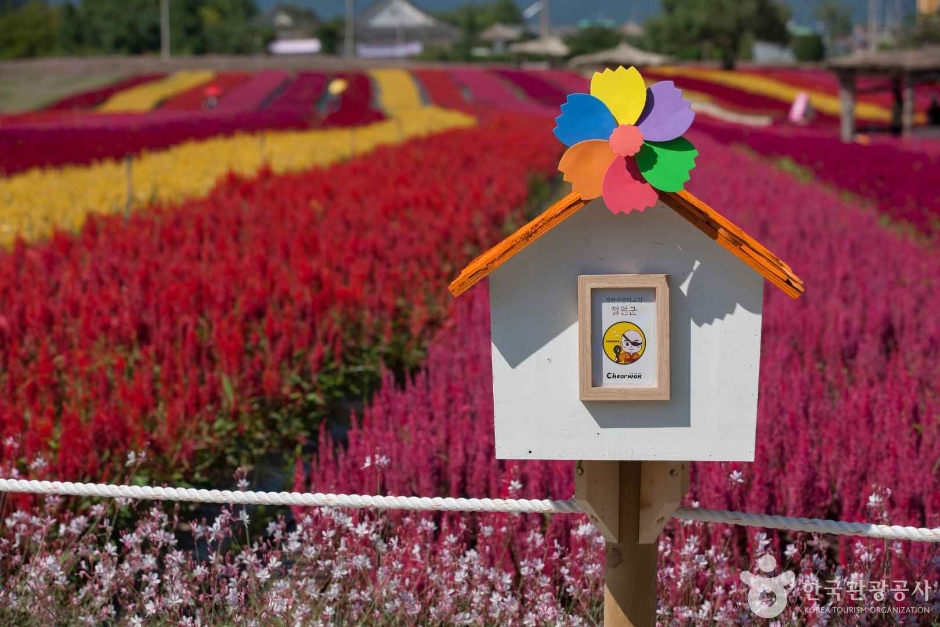 고석정국민관광지