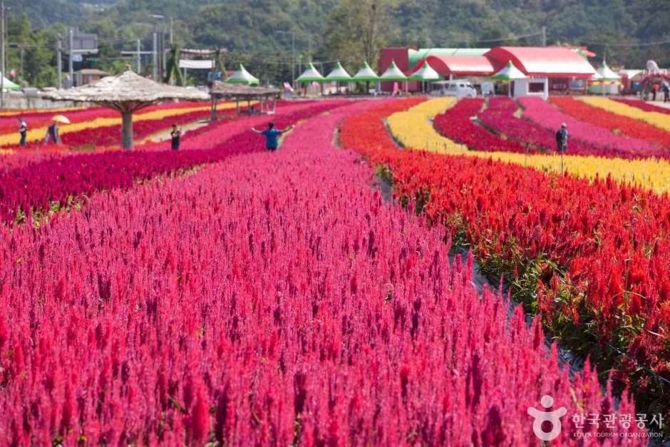고석정국민관광지