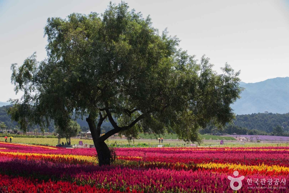 고석정국민관광지
