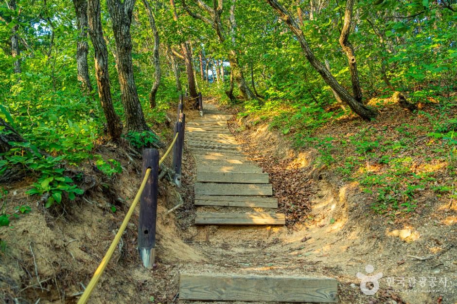 고성으로 떠나는 다섯 가지 쉼표 여행_금강산 버섯바위(신선대)_1-3