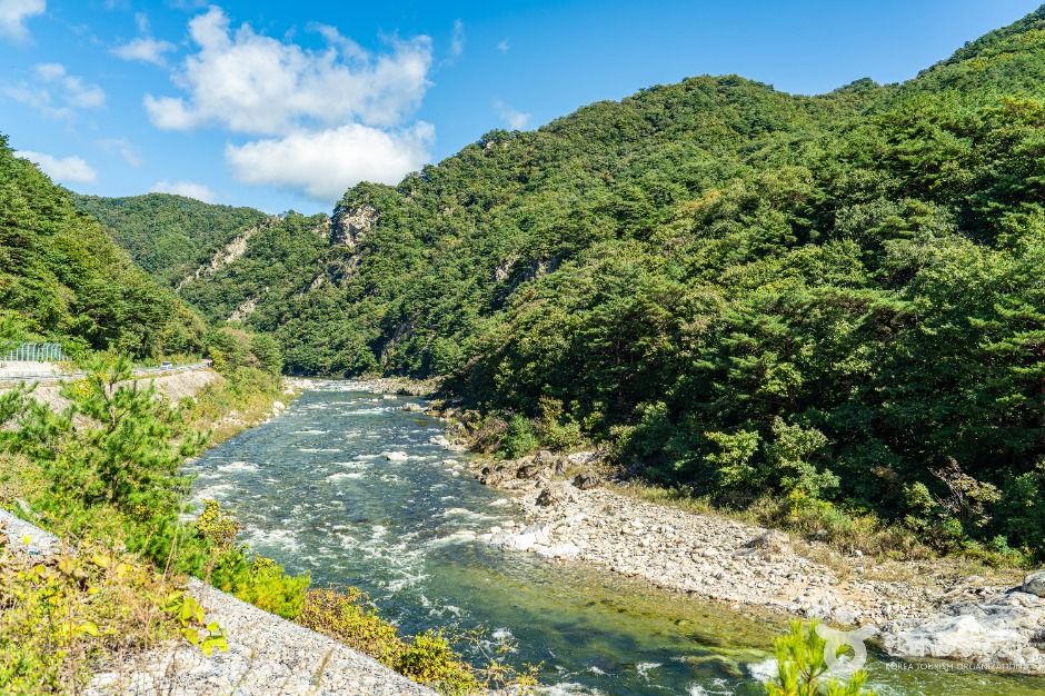 인제_고원통계곡 (3)