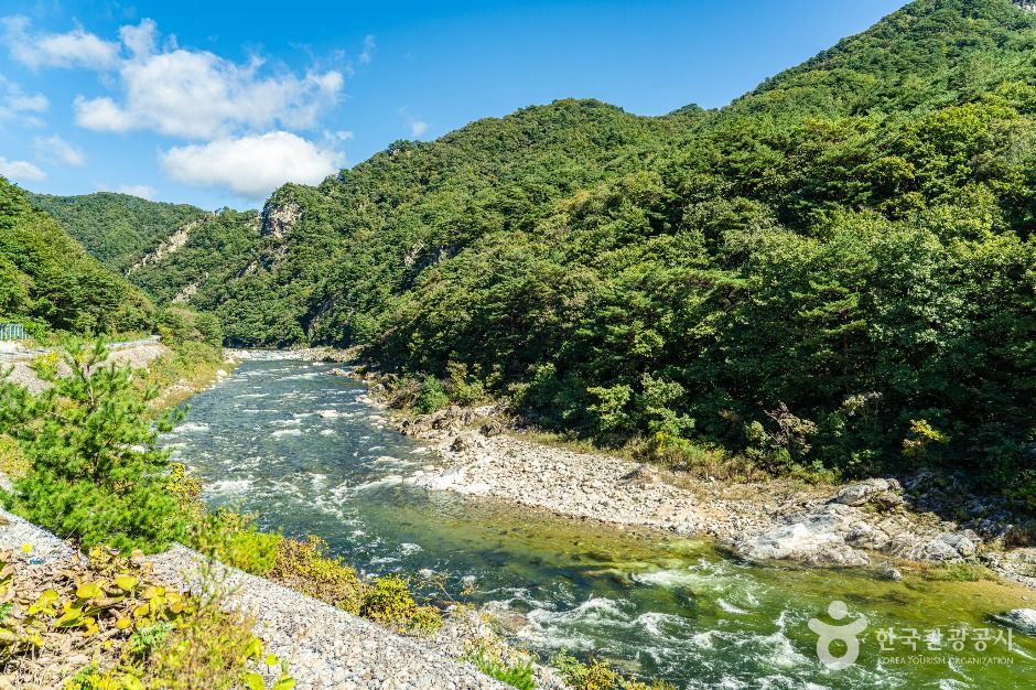 인제_고원통계곡 (5)