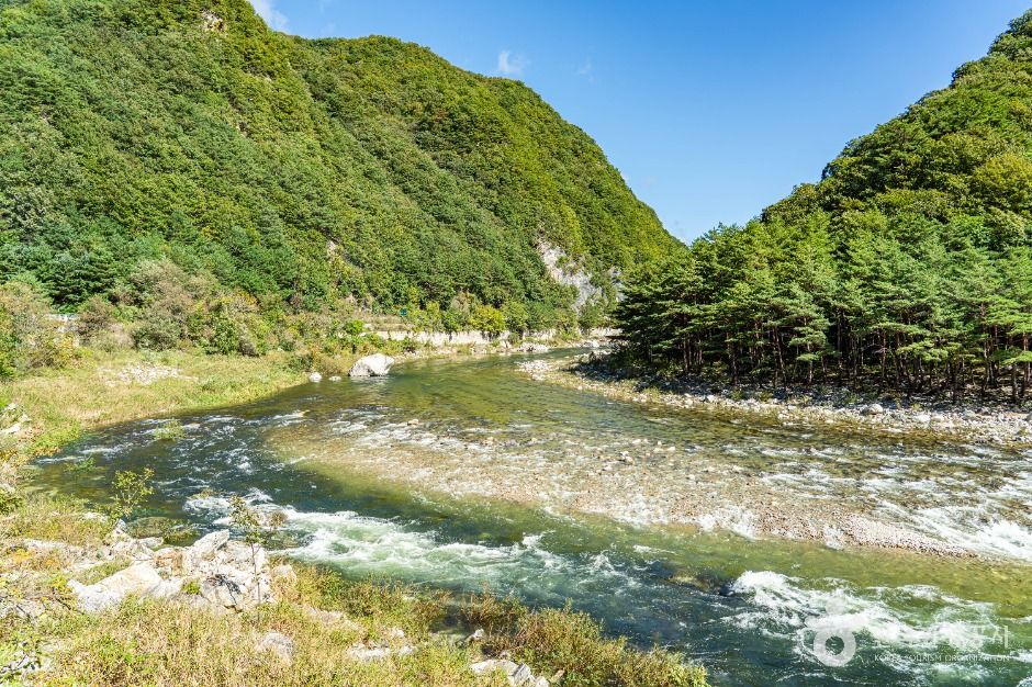 인제_고원통계곡 (6)