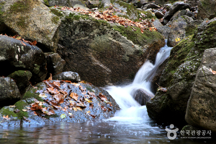안보관광DB_양구_광치계곡07