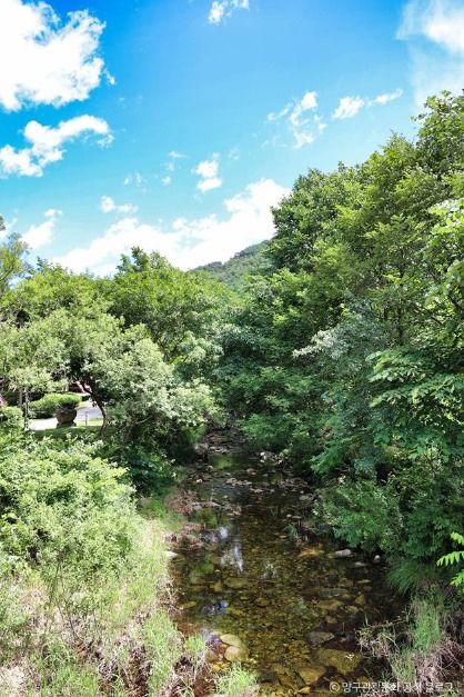 양구_광치계곡 (2)