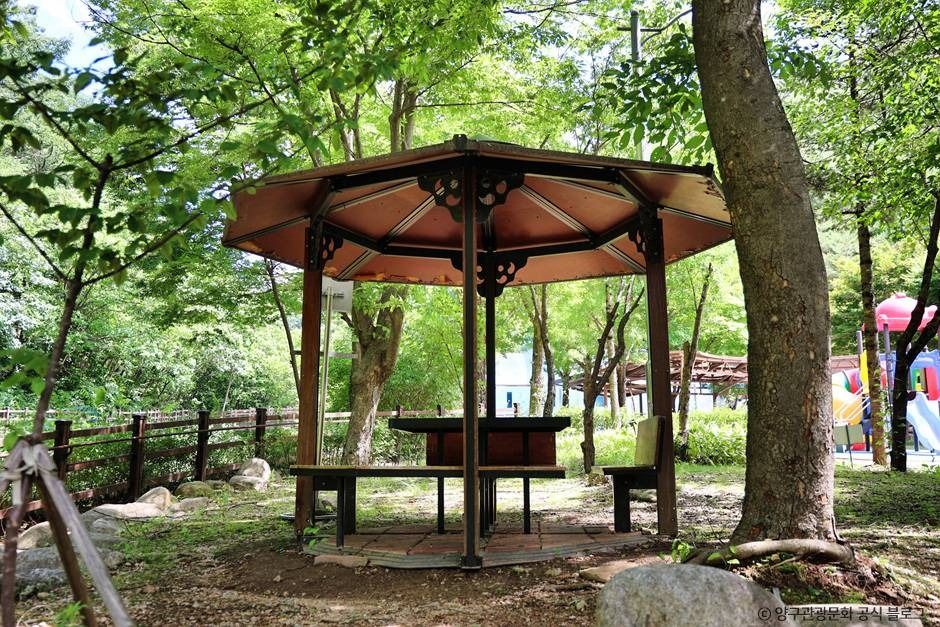 양구_광치자연휴양림 (3)