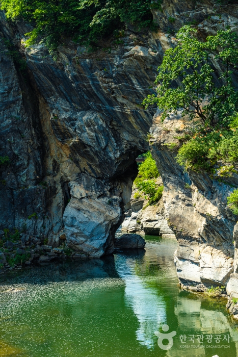 열대야는 없고 별은 있다! 