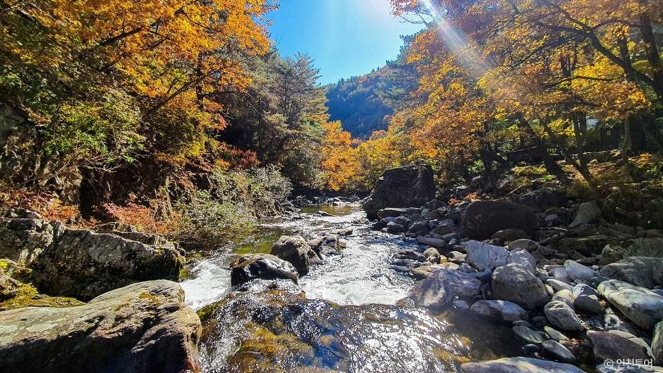 정선_국립 가리왕산자연휴양림 (3)