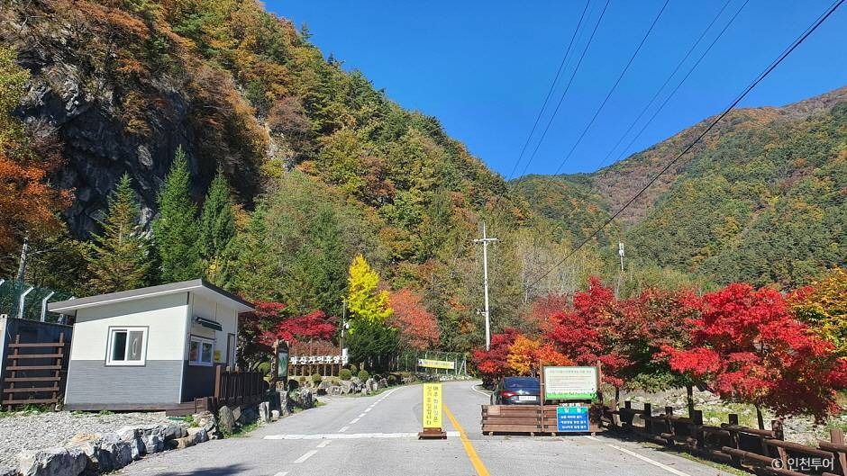 정선_국립 가리왕산자연휴양림 (4)