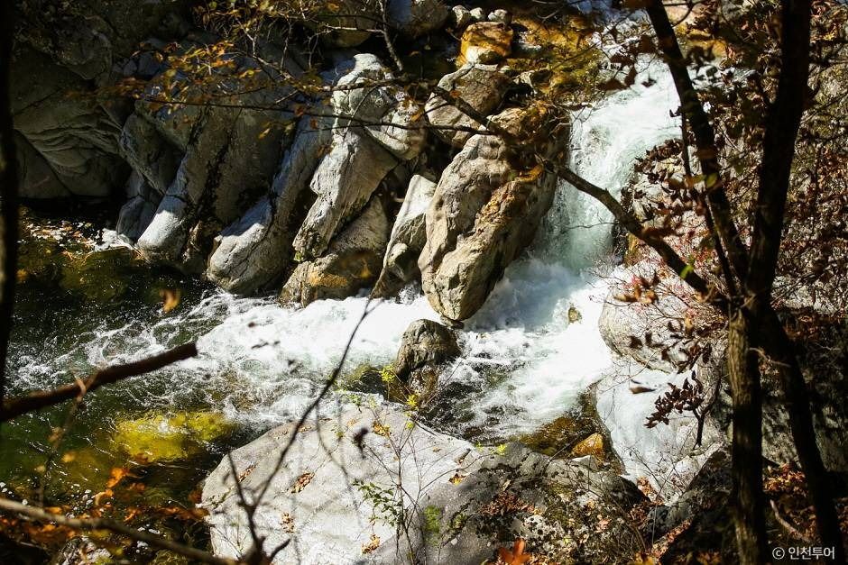 정선_국립 가리왕산자연휴양림 (5)