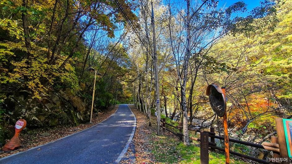 정선_국립 가리왕산자연휴양림 (8)